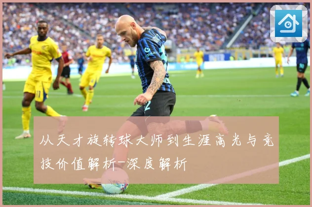 从天才旋转球大师到生涯高光与竞技价值解析-深度解析