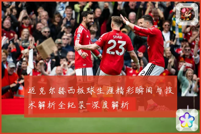 迈克尔赫西板球生涯精彩瞬间与技术解析全纪录-深度解析